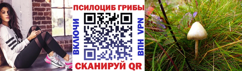 Псилоцибиновые грибы мухоморы  хочу наркоту  Истра 